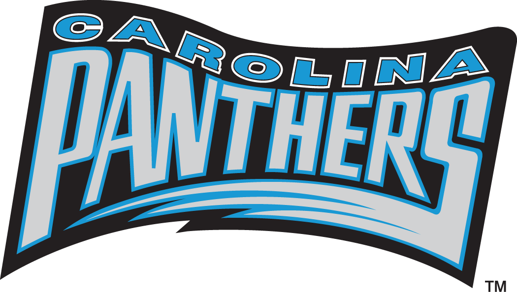 Carolina Panthers 1995 Wordmark Logo t shirts iron on transfers